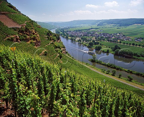 View from the rziger Wrzgarten vineyard across the Mosel to Erden Germany     Mosel