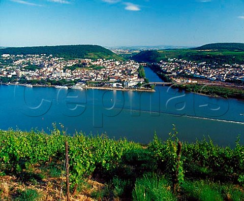 View across the Rhine from the Berg Schlossberg   vineyard at Rdesheim to Bingen and the Nahe River  Germany