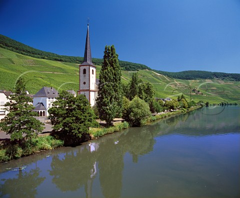 StMichaels Church and Mosel River below the   Goldtropfchen vineyard Piesport Germany     Mosel