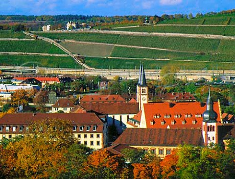 The Stein vineyard above Wrzburg Franken Germany