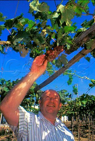 Tony Allen in vineyard of the Allied Domecq Winery north of Saigon Vietnam