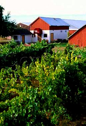 Tyee Wine Cellars Corvallis Oregon USA  Willamette Valley AVA