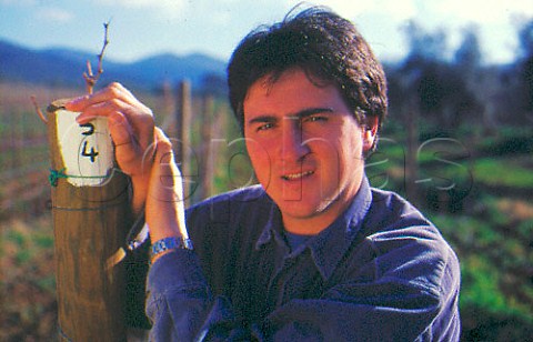 Ranieri Orsini vineyard keeper Tenuta   Ornellaia Bolgheri Tuscany Italy