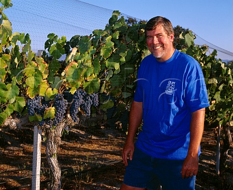 Bob Lindquist of Qup with Mourvdre grapes   in his IbarraYoung vineyard at Los Olivos   Santa Barbara Co California  Santa Ynez Valley AVA