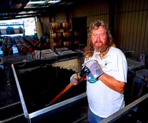 Jim Clendenen crushing Pinot Noir grapes at  Au Bon Climat Santa Maria Santa Barbara Co   California    Santa Maria Valley AVA