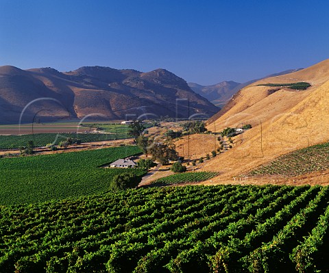 Bien Nacido Vineyard with the winery of Au Bon Climat and Qup in the distance In the foreground is a block of Barbera and top right a block of Nebbiolo both used by ABC for its Il Podere range Santa Maria Santa Barbara County California Santa Maria Valley AVA
