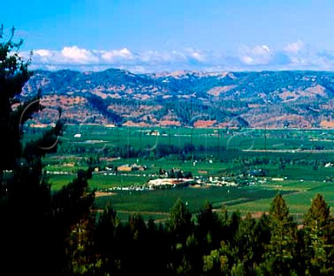 View across Napa Valley from the hills to the west   with Robert Mondavi Winery and their To Kalon   Vineyard in the foreground   Oakville Napa Co California