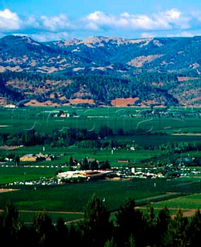 View across Napa Valley from the hills to the west   with Robert Mondavi Winery and their To Kalon   Vineyard in the foreground   Oakville Napa Co California