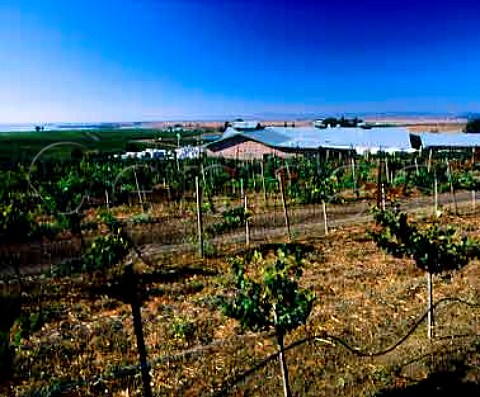 Acacia Winery Napa California  Carneros AVA