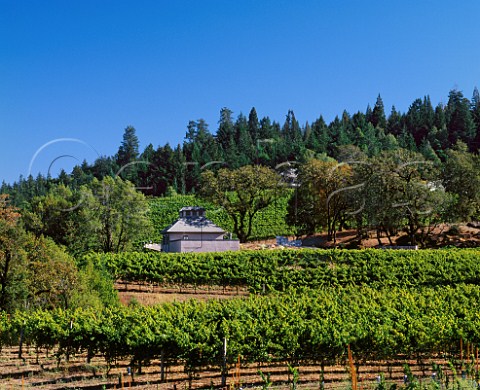 Flowers Winery and vineyards on Camp Meeting Ridge Cazadero Sonoma Co California    Sonoma Coast AVA