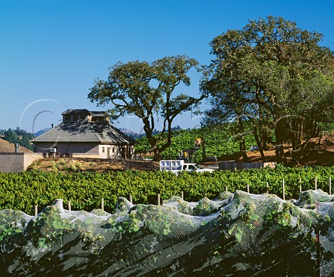 Flowers Winery amidst their vineyards on Camp Meeting Ridge Near Cazadero Sonoma County California Fort RossSeaview  Sonoma Coast AVAs