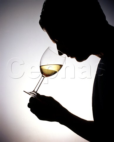 Man smelling white wine