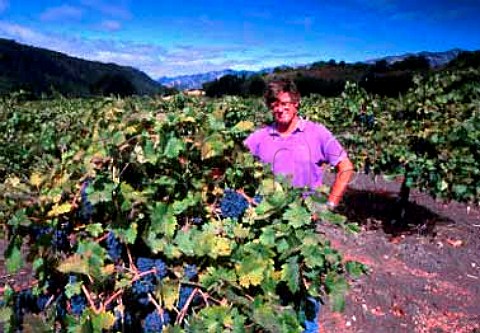 Bill Greenough in his old Zinfandel vineyard   Saucelito Canyon Vineyards Arroyo Grande   San Luis Obispo Co California   Arroyo Grande AVA