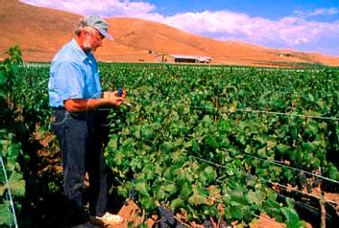 Ken Brown in Pinot Noir vineyard on   Robert Mondavis Byron Estate   Santa Maria Santa Barbara Co     California   Santa Maria Valley AVA