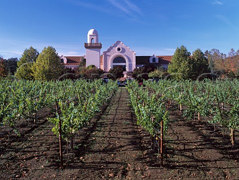 Groth winery and vineyard Oakville   Napa Co California