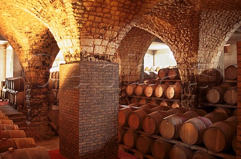 Barrel ageing cellars of Chateau Musar   Ghazir North Beirut Lebanon