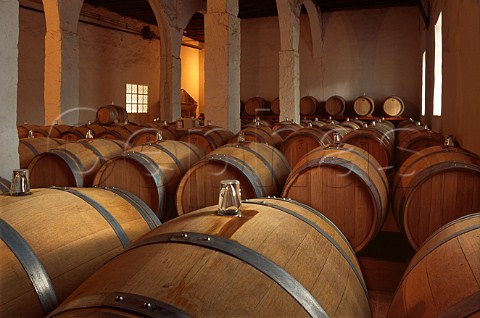 Barrel cellar of Chateau Ksara Bekaa Valley Lebanon