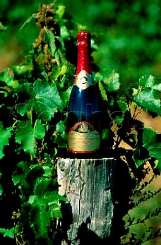 Bottle of Selection des Mousquetaires   sparkling wine Le Cep dArgent Magog   Quebec Canada