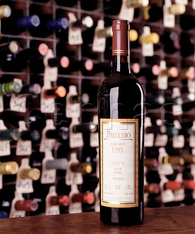 Bottle of 1995 Juanico Preludio in the wine cellar   of the Hotel du Vin Bristol