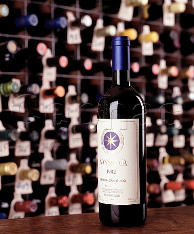Bottle of 1982 Sassicaia in the wine cellar of the   Hotel du Vin Bristol