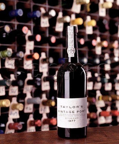 Bottle of 1977 Taylors Vintage Port  in the wine cellar of the Hotel du Vin Bristol