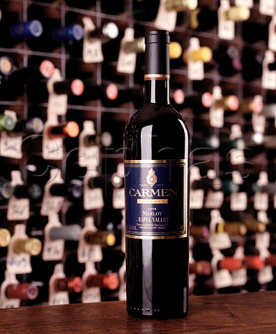 Bottle of 1999 Carmen Merlot Reserve  in the wine cellar of the Hotel du Vin Bristol