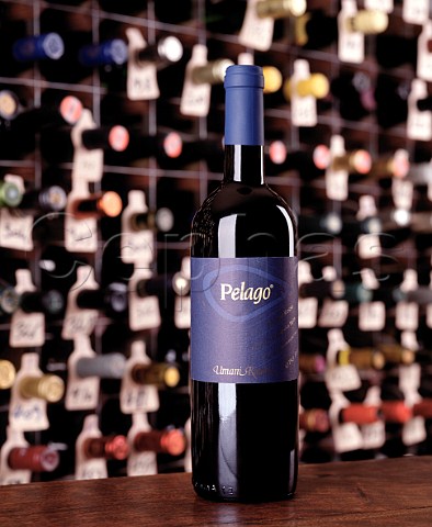 Bottle of 1996 Umani Ronchi Pelago  in the wine cellar of the Hotel du Vin Bristol