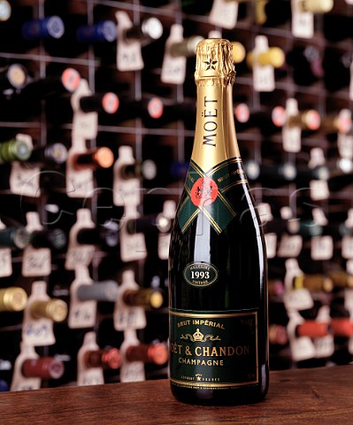 Bottle of 1993 Mot  Chandon Champagne   in the wine cellar of the Hotel du Vin Bristol