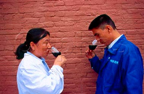 Winery workers with glasses of red wine   in the oasis town of Turpan   Xinjiang province China