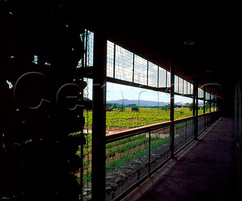 Dominus winery  constructed of gabion baskets wire   cages filled with rocks   Yountville Napa Co California