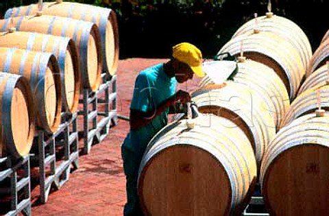Filling new oak barrels with Chardonnay   must ready for fermentation   Meerlust Estate Stellenbosch   South Africa