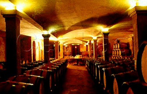 Barrel cellar of Hamilton Russell   Hermanus South Africa Overberg WO
