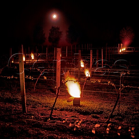 Antifrost smudge pots in vineyard of Torlesse Wines Waipara New Zealand   Waipara