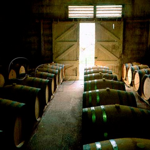 Barrel room of Rongopai Winery Te Kauwhata   New Zealand   Waikato