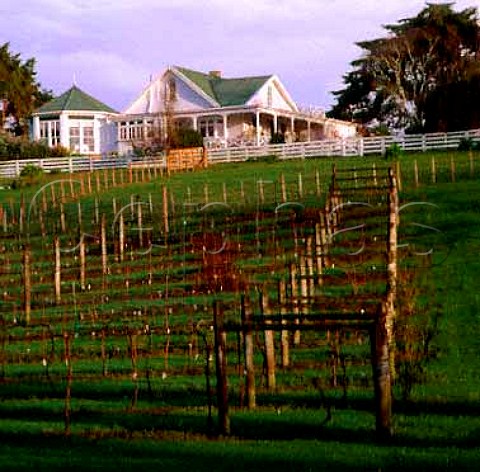 Vineyard and Hunting Lodge Restaurant of   Matua Waimauku New Zealand   Kumeu
