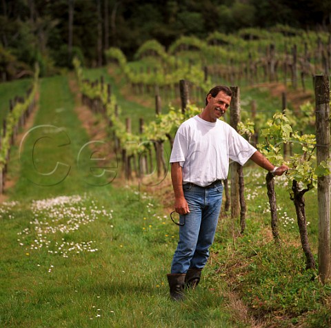 Mario Vuletich in vineyard of Longview Estate Whangarei New Zealand     Northland