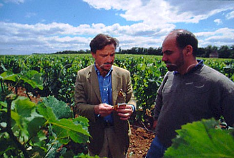 Stephan von Neipperg and JeanPatrick   Meyrignac in vineyard of Chteau   dAiguilhe StPhilippedAiguille  Gironde France  Ctes de Castillon    Bordeaux