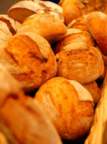 Sour Dough bread at the Festival of Food and Drink   Tunbridge Wells kent