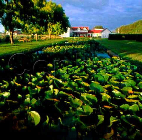 Lily pond and Stables winery of Ngatarawa Wines   Hastings New Zealand    Hawkes Bay