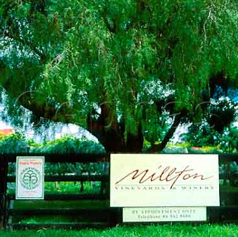 Sign for Millton Vineyards  Winery   Gisborne New Zealand