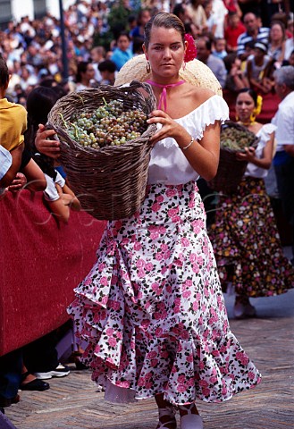 One of the Harvest Girls during the   Festival of the Grape   Jerez de la Frontera Andaluca Spain   Sherry