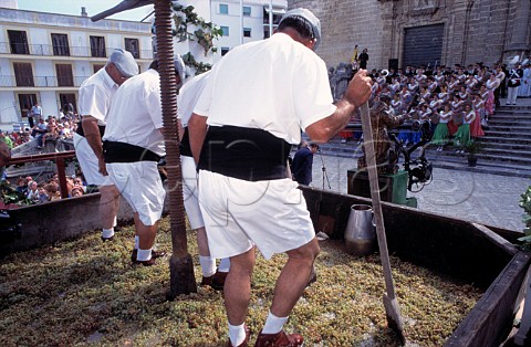 Ceremonial treading of the grapes   during the Festival of the Grape   Jerez de la Frontera Andaluca Spain   Sherry