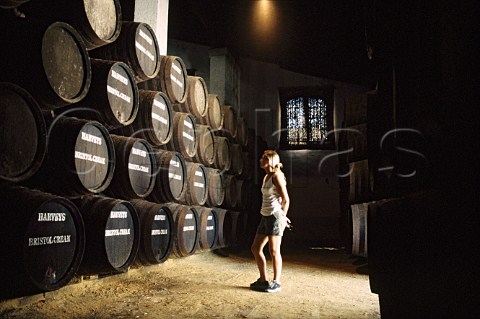 Tourist visiting one of Harveys bodegas   Jerez de la Frontera Andaluca Spain    Sherry