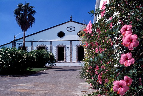 Harveys bodegas Jerez de la Frontera   Andaluca Spain  Sherry