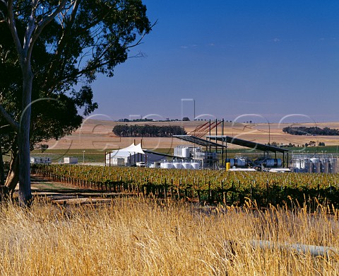 Kirribilly vineyard and winery Clare  South Australia   Clare Valley