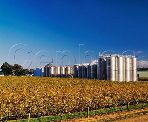 Rosemount winery and vineyard McLaren Vale South Australia  McLaren Vale