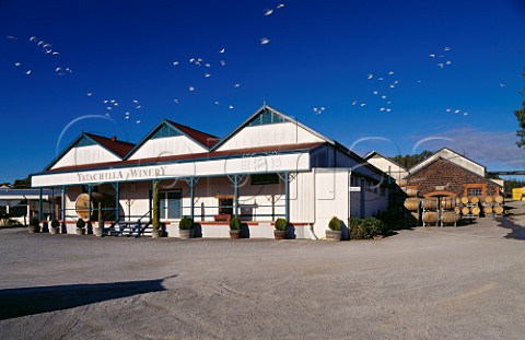 Cockatoos flying over Tatachilla Winery   McLaren Vale South Australia McLaren Vale