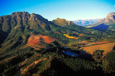 Thelema Mountain Vineyards  Stellenbosch South Africa