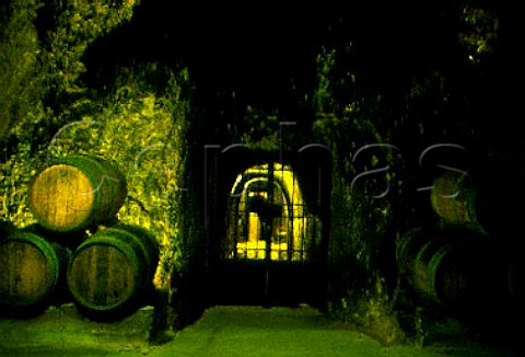 Barrel cellar of Chateau Ksara   Zahle Bekaa Valley Lebanon