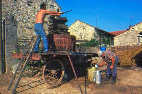 Rustic smallscale winemaking   central France